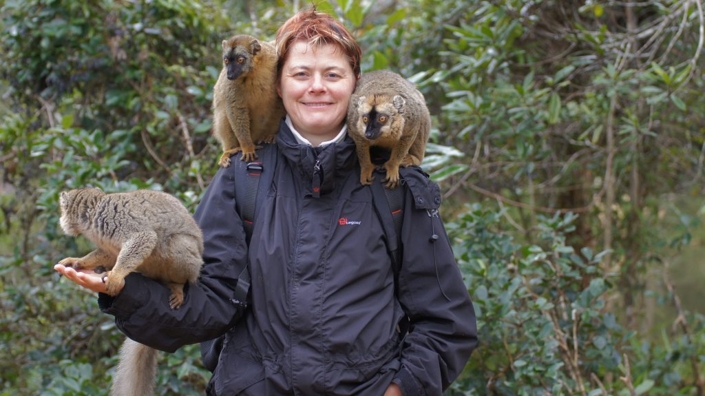 Chrischi und die Lemuren